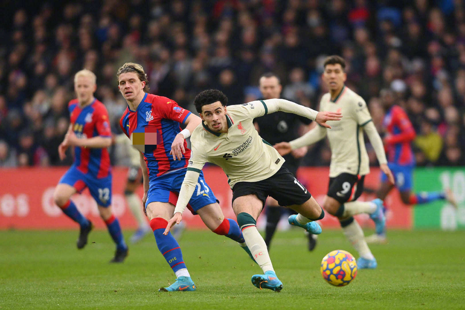 更是一個展 更是一個展